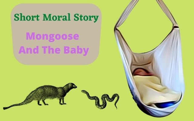 mangouse and te baby moral story