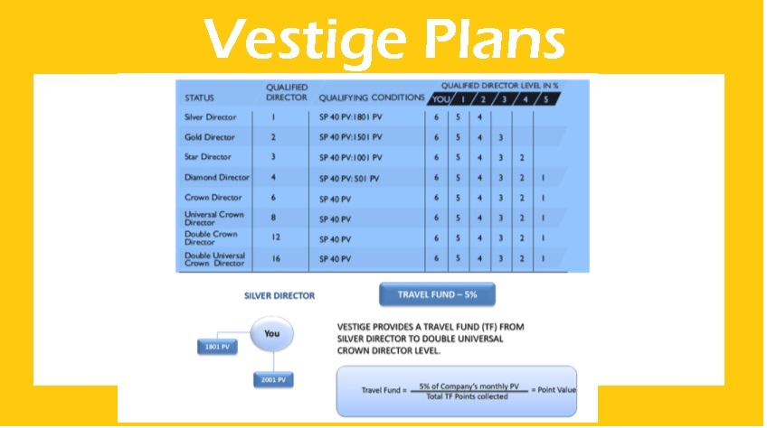 How to get Travel Fund in Vestige Business Plan?