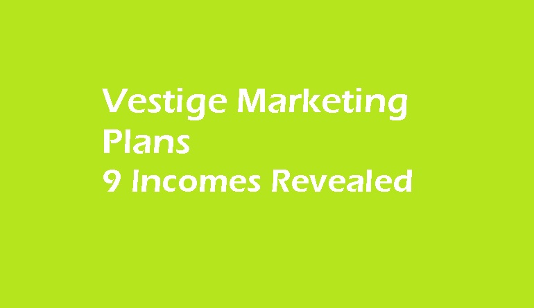 detailed guide on Vestige Business Plans comparing 9 incomes