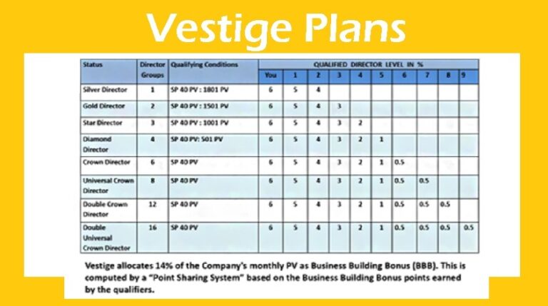 how to show vestige business plan