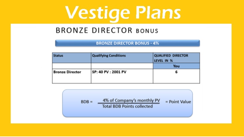 business plan of vestige