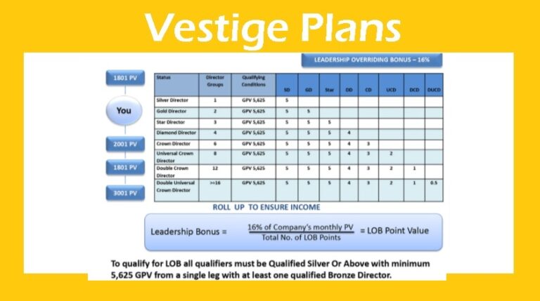 how to show vestige business plan