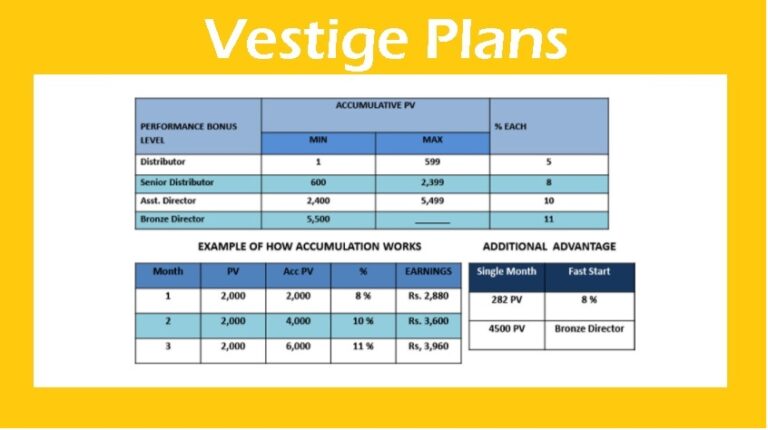 business plan of vestige