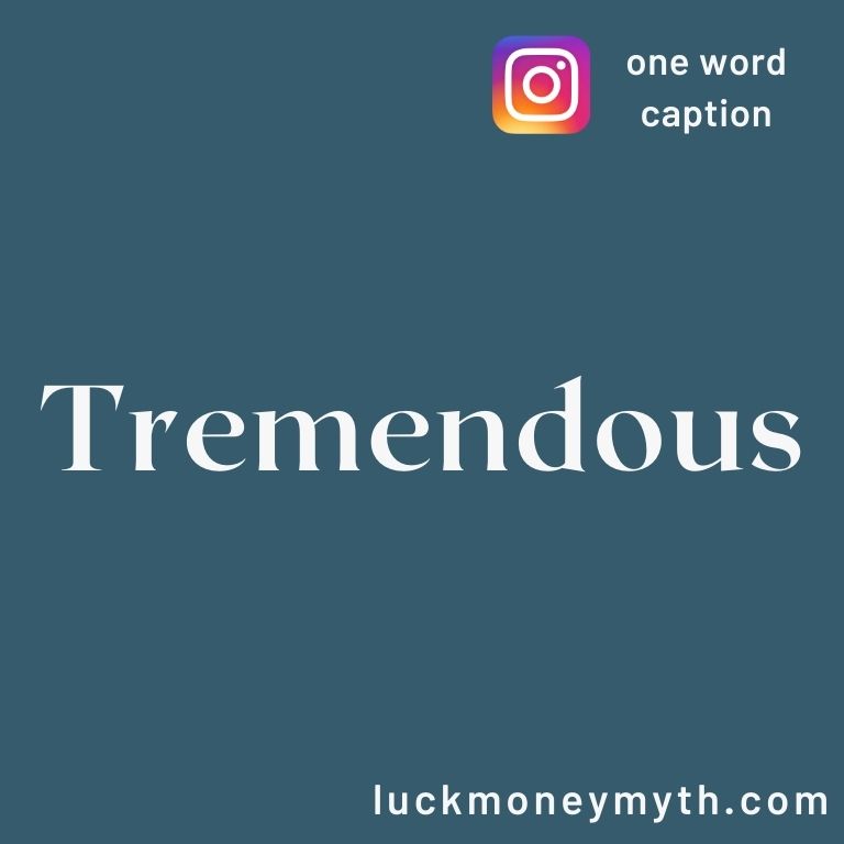 300 One Word Caption Best for Instagram, FB & Whatsapp (2023)
