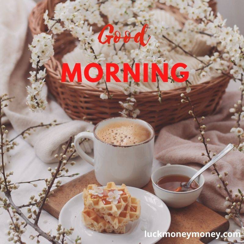 good morning images wishes
