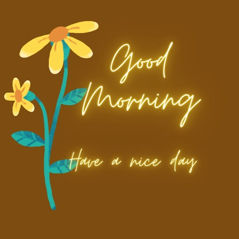 222 Good Morning Images Quotes Wishes Pic And Messages