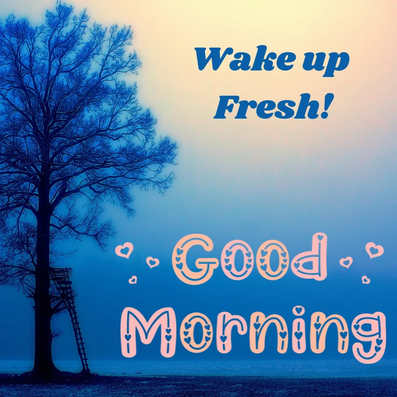 wake up fresh