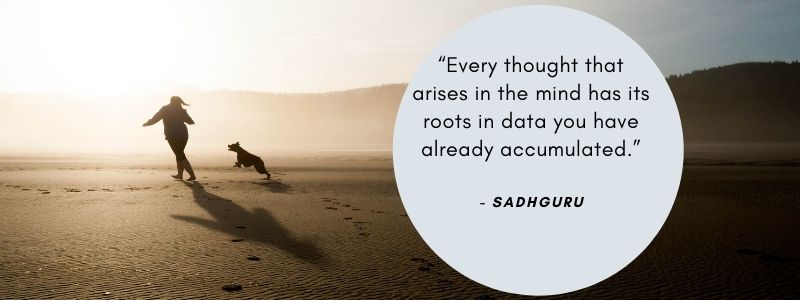 sadhguru quotes on success