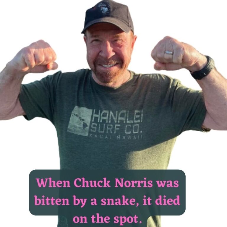 60 Chuck Norris Jokes & Chuck Norris Memes For You In 2024