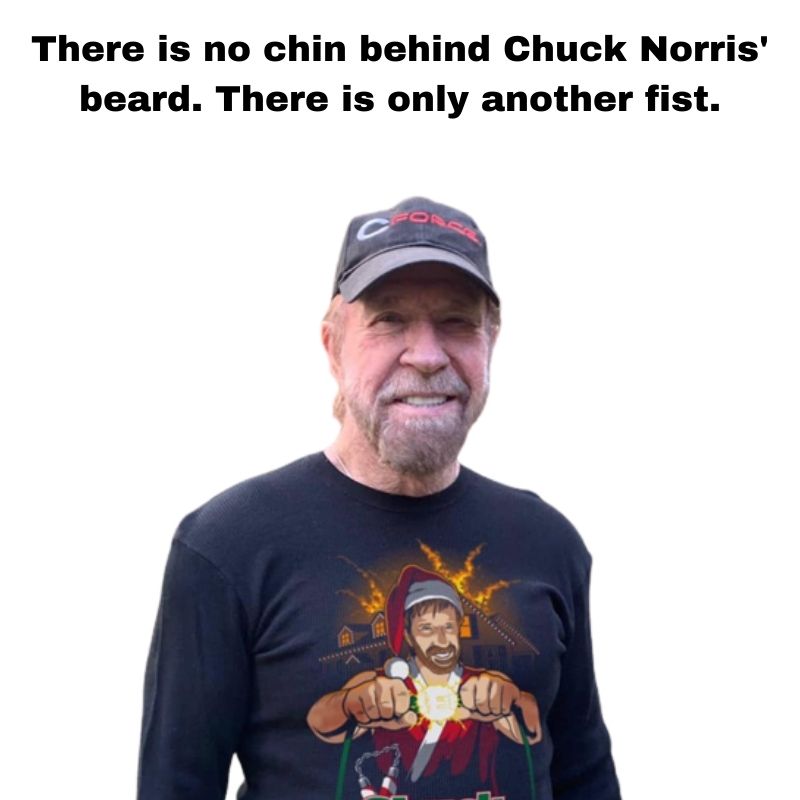 chuck norris jokes new download