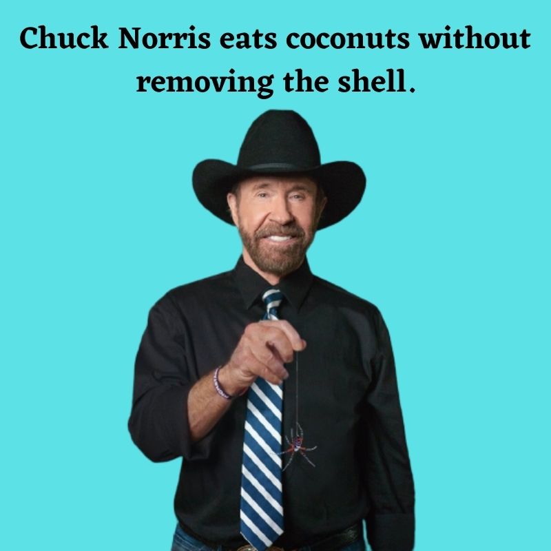 latest chuck norris jokes