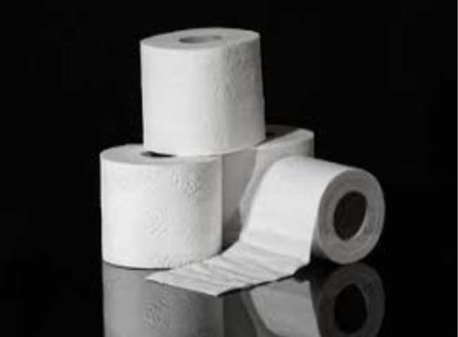 the toilet paper game