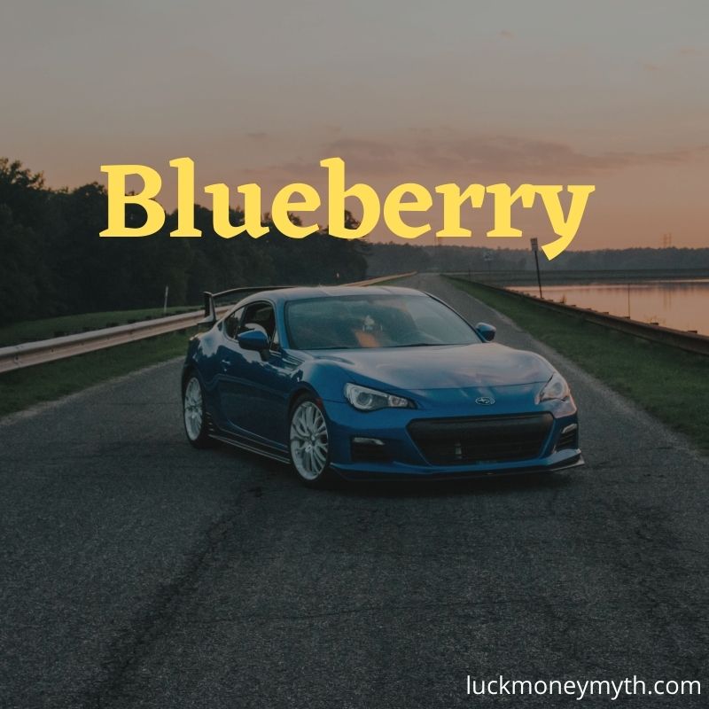 best blue car names