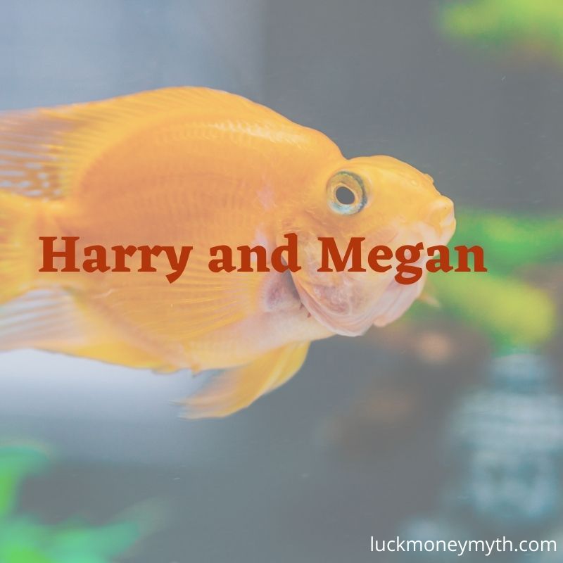 best names for fish couple