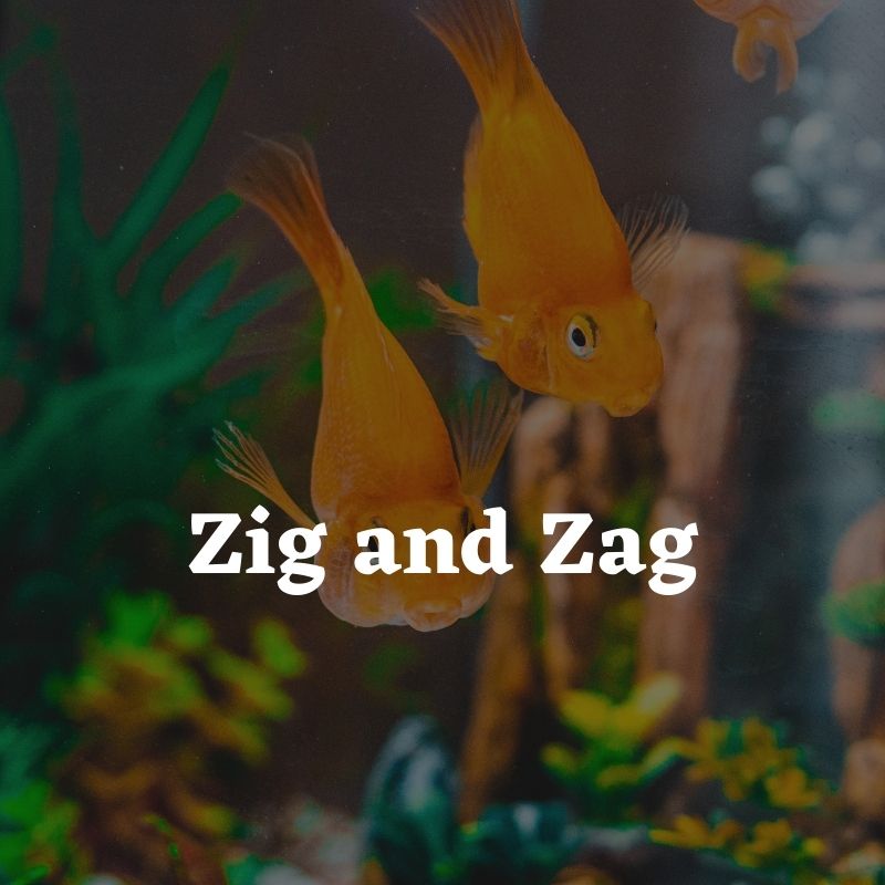 best names for fish pairs