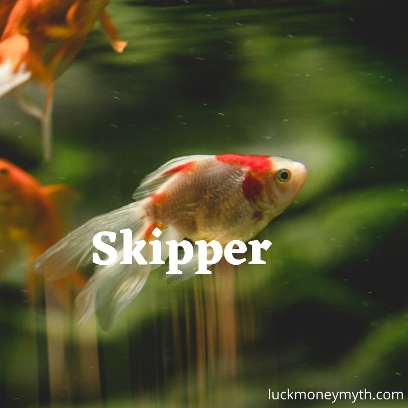 funny name for male fish