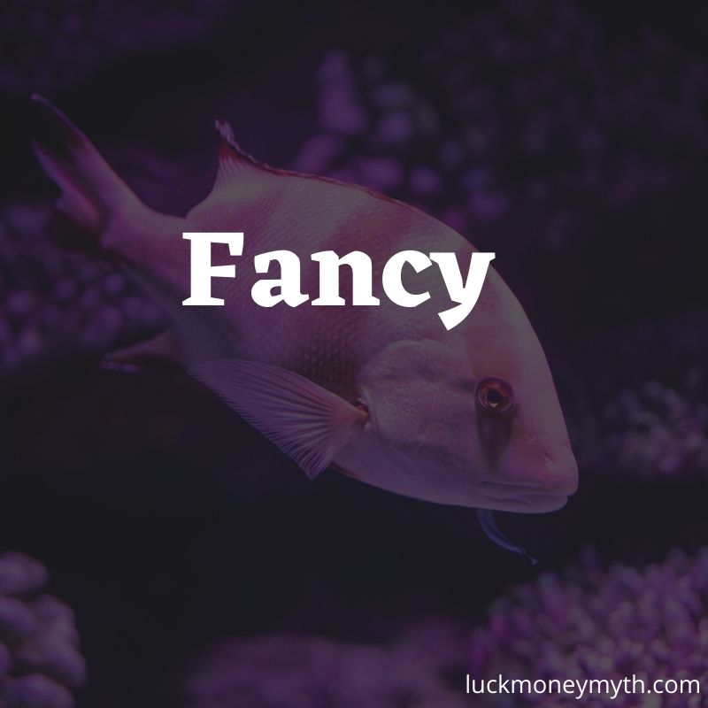 funny fish names ideas