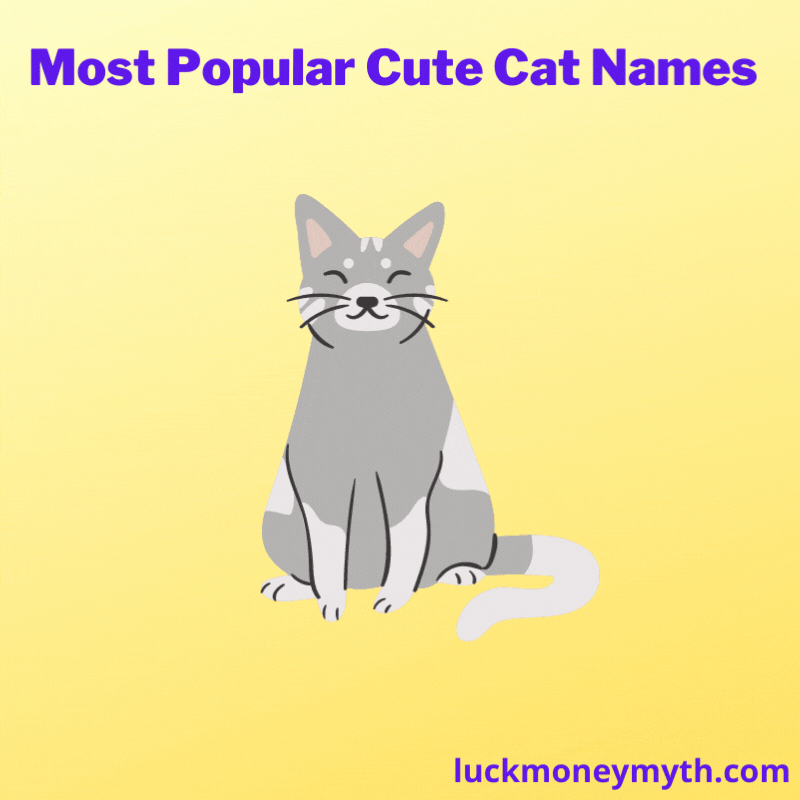 most popular cute cat name list