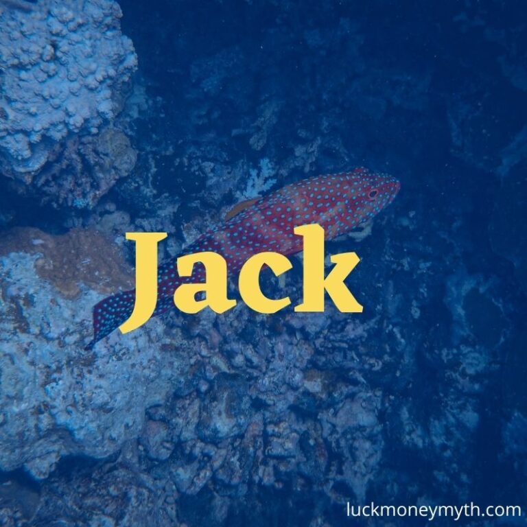 funny-unique-clever-names-for-fish-male-female-pet-fish