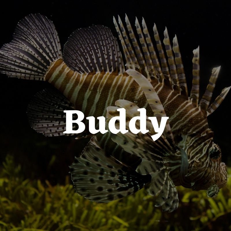 unique male fish name