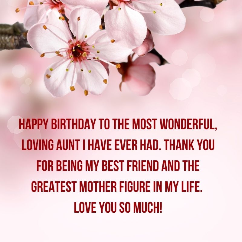 funny birthday wishes for aunt from niece