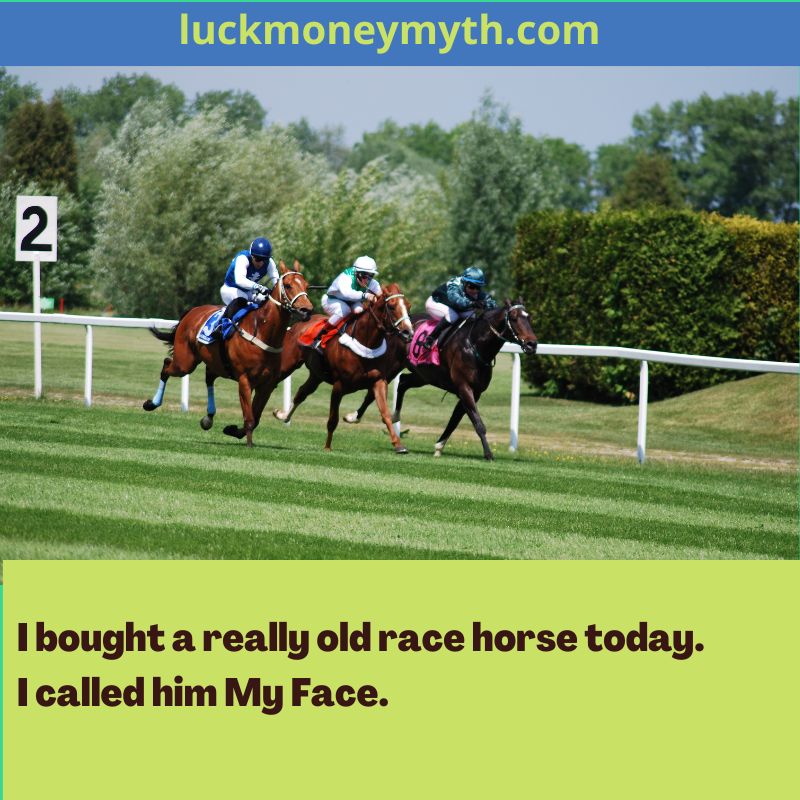 horse racing jokes