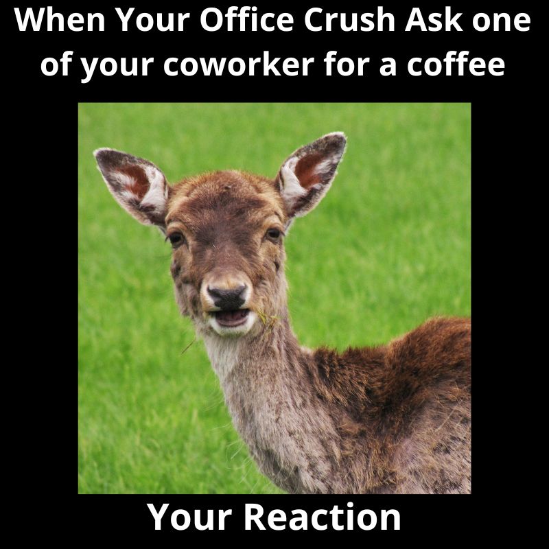dating office memes