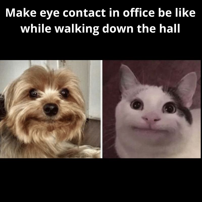 eye contact office memes