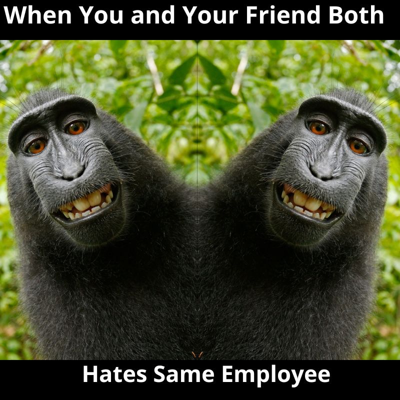 friend office memes
