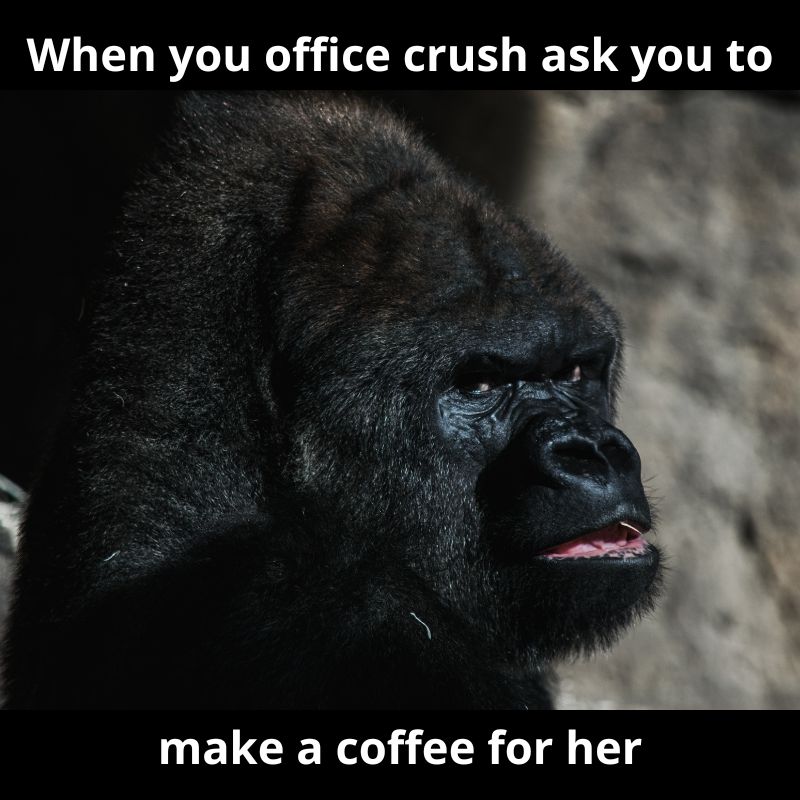 funniest office crush