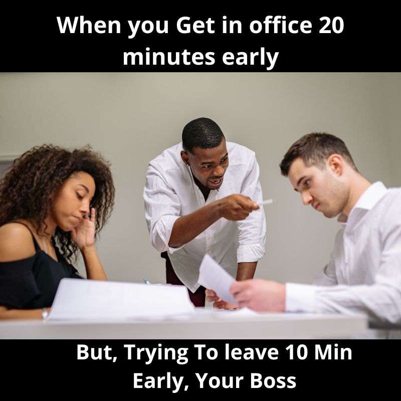 funny boss office memes