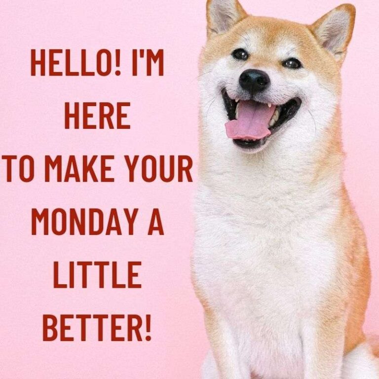 50 Best Monday Memes, Jokes 2024: Positive, Funny & Happy