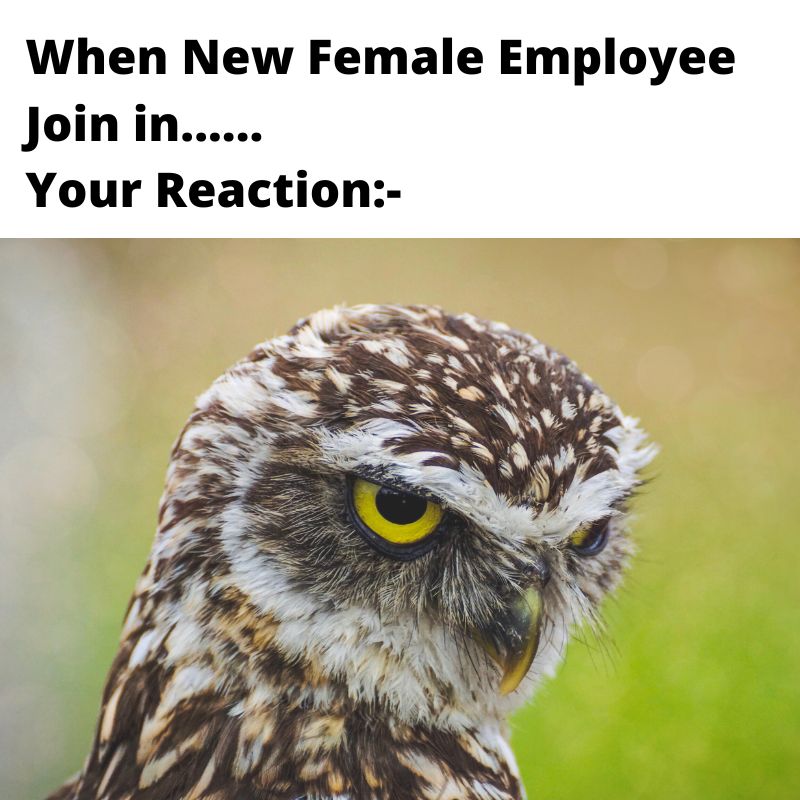 new employee office memes