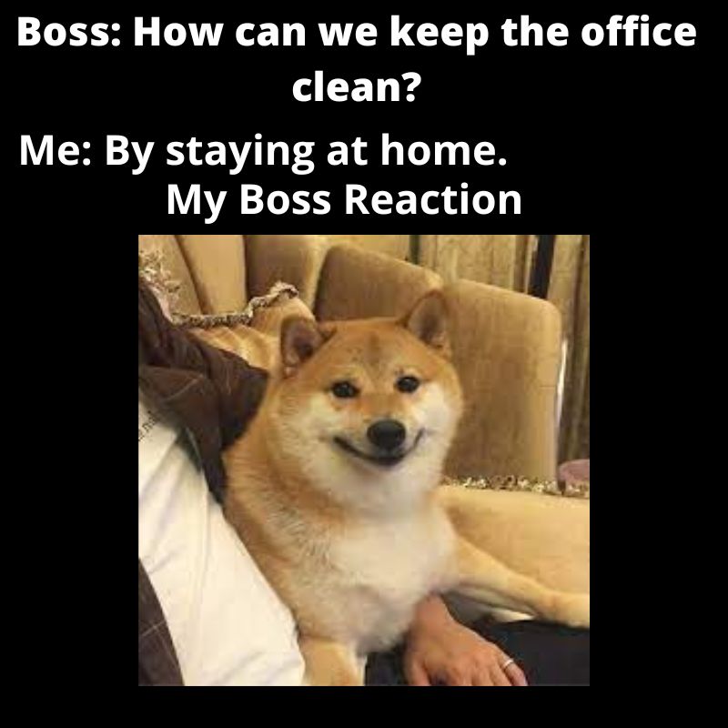 office advice memes