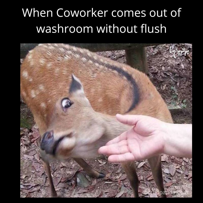 office toilet memes