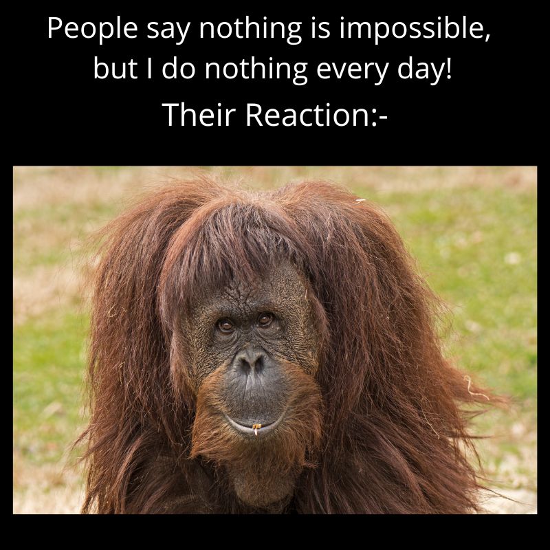 Funny Orangutan Quotes