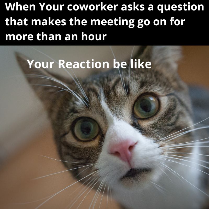 bad coworker funniest memes