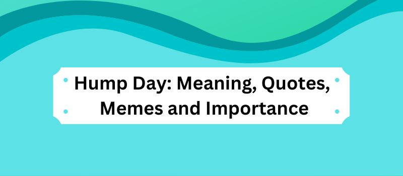 Hump Day 2024 Meaning Quotes Memes And Importance 6685