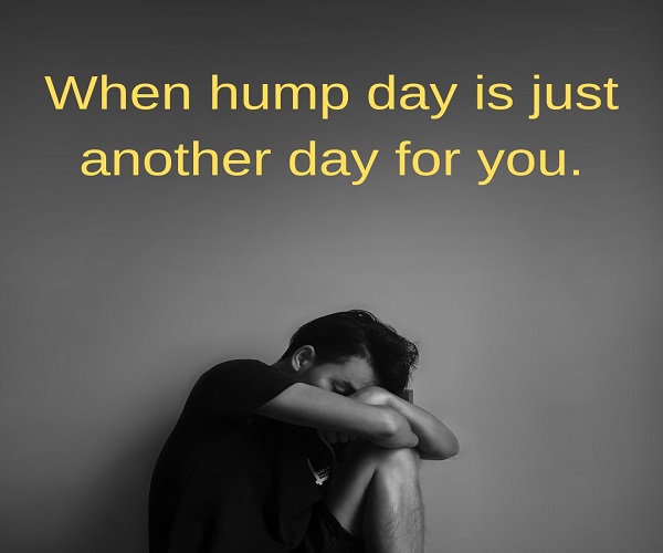 hump day meme