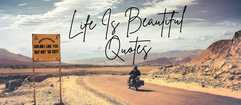 life is beautiful