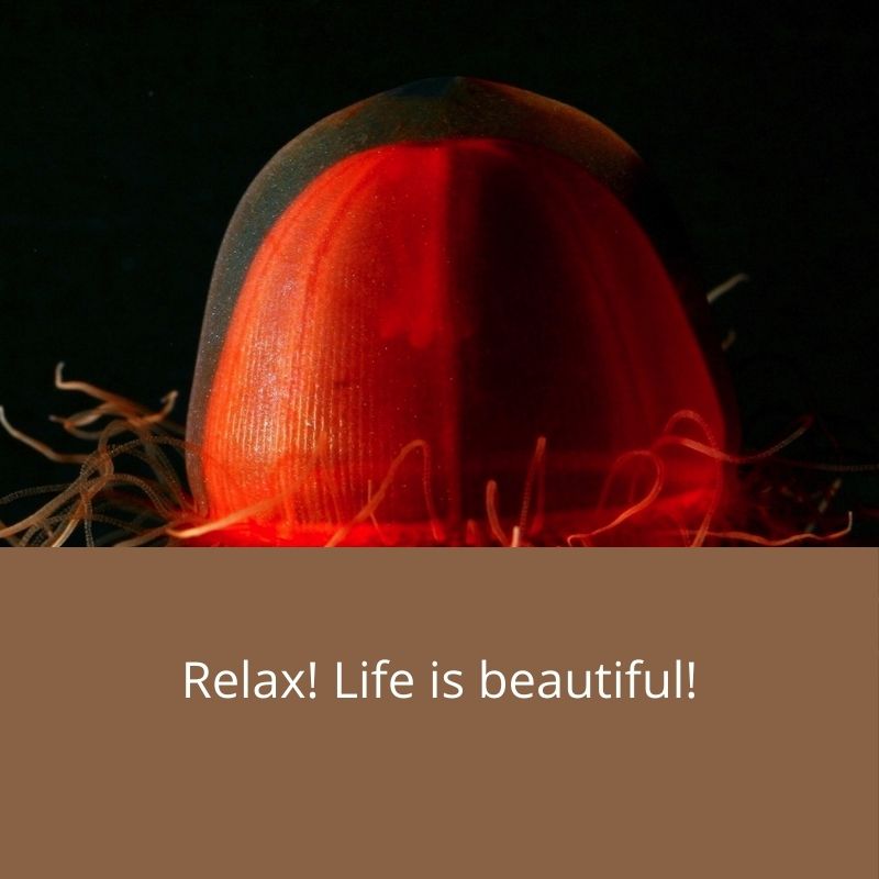 relax life is beautiful