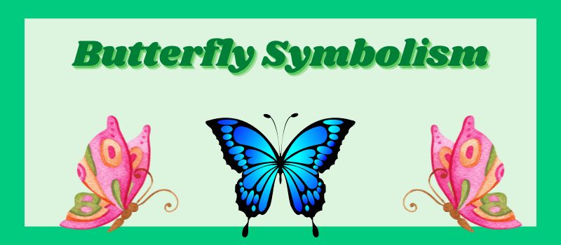 butterfly symbolism